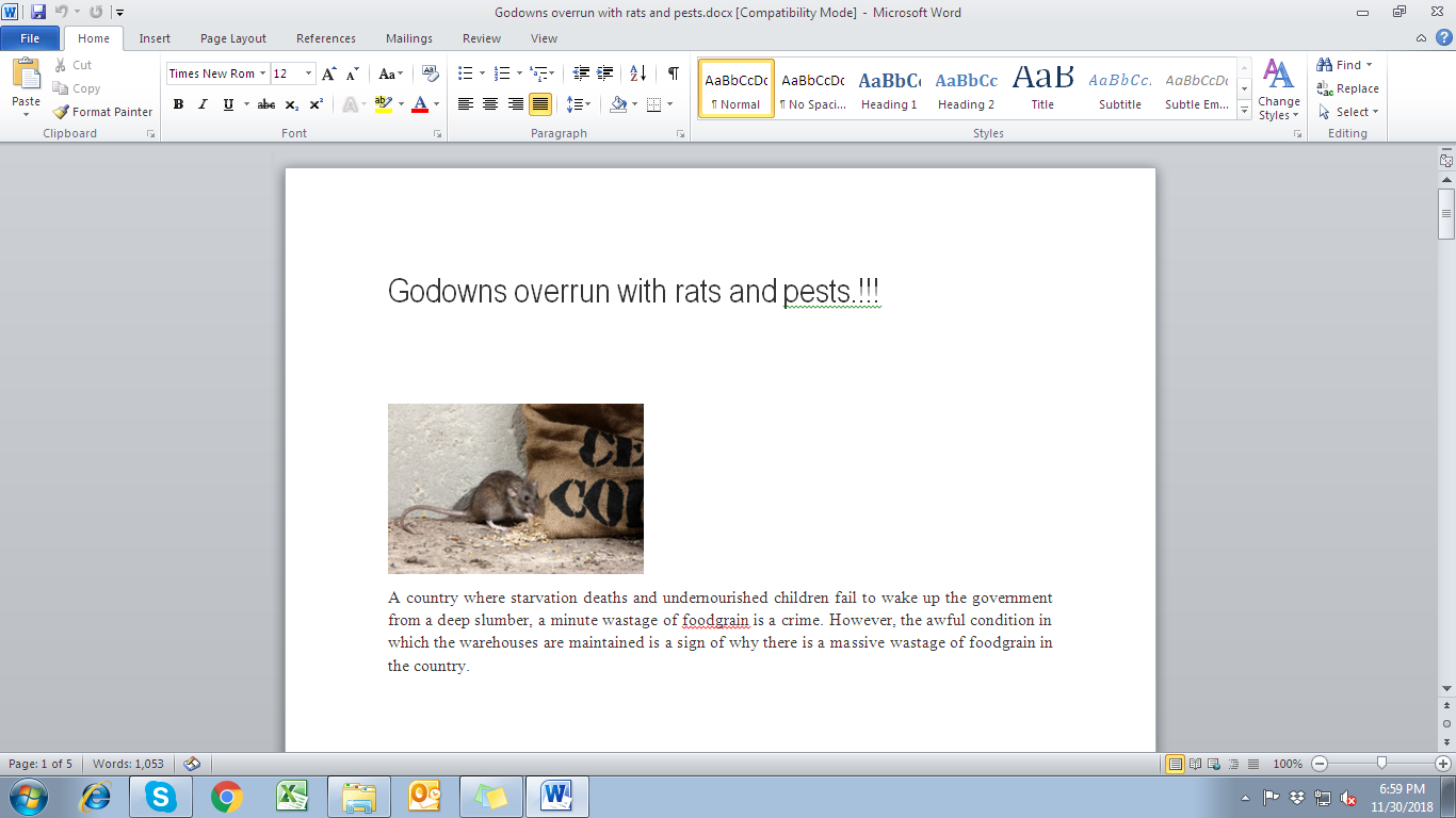 Godowns overrun with rats and pests