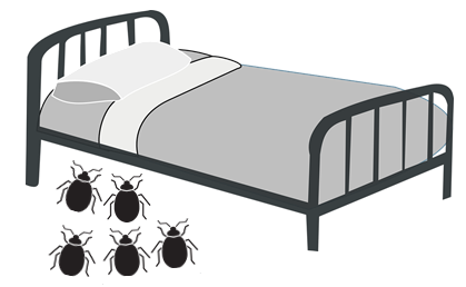 How to stop bedbugs playing havoc in your hotel